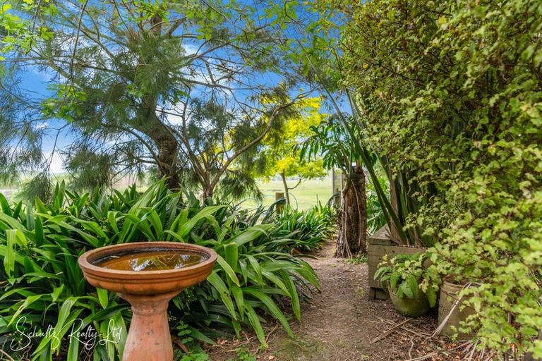 Photo of property in 17 Oparakau Road, Matakohe, 0594