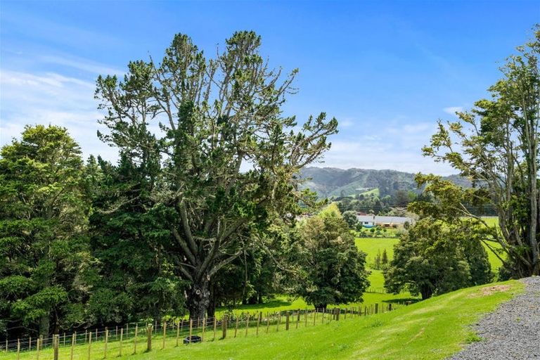 Photo of property in 59 Jounneaux Road, Te Kamo, Kamo, 0185