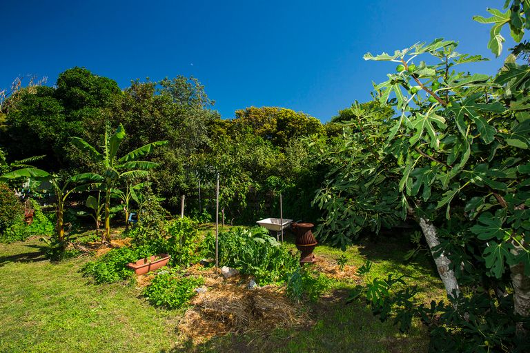 Photo of property in 22 Moana Road, Okitu, Gisborne, 4010