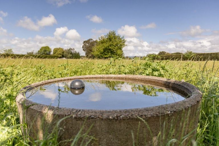 Photo of property in 398 Hallett Road, Otakiri, Whakatane, 3192