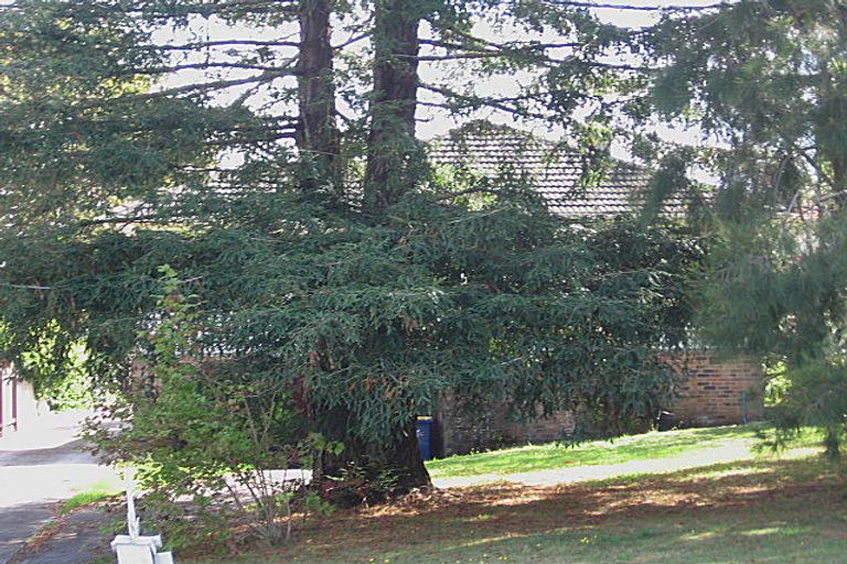 Photo of property in 23 Stottholm Road, Titirangi, Auckland, 0604