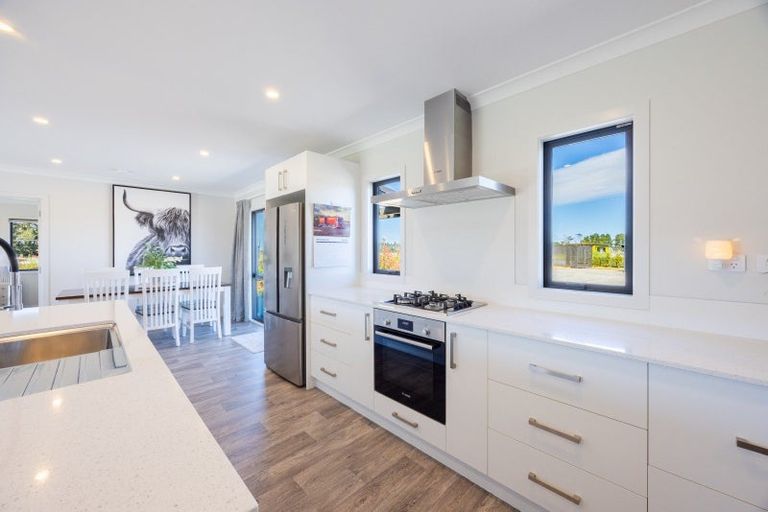 Photo of property in 128 Taylor Road, Ongaonga, 4278