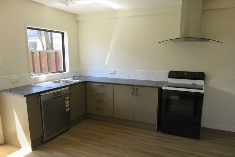 Photo of property in 145 Canon Street, Edgeware, Christchurch, 8013