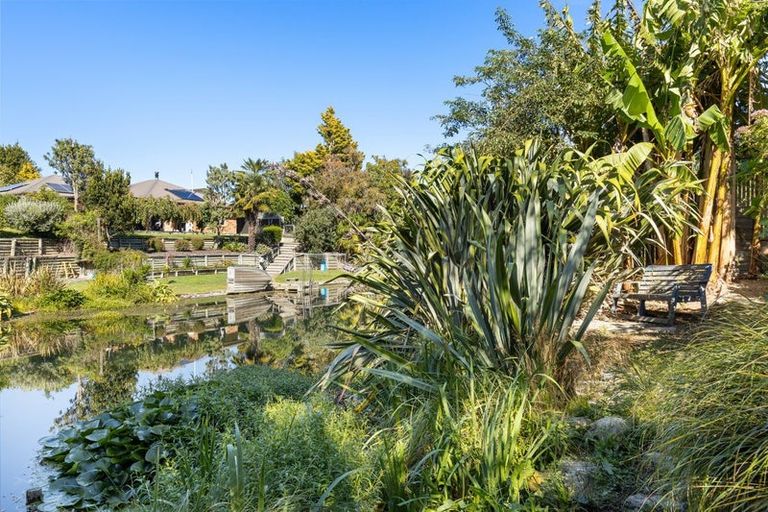 Photo of property in 46a Holdaway Street, Riversdale, Blenheim, 7201