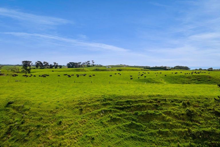 Photo of property in 78 Waitoetoe Road, Mimi, Urenui, 4377