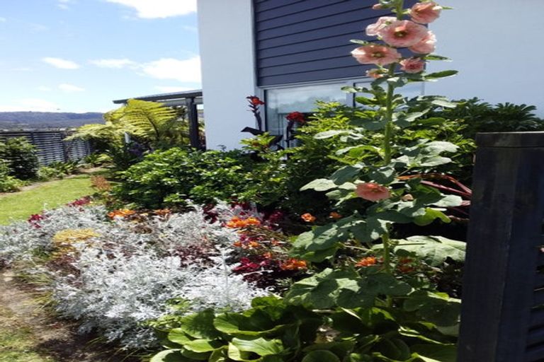 Photo of property in 20 Roseberry Place, Whitianga, 3510