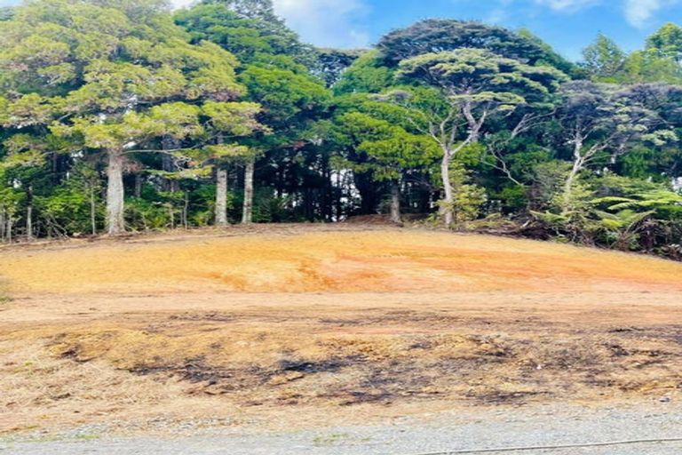 Photo of property in 165 Poyner Road, Makarau, Warkworth, 0981