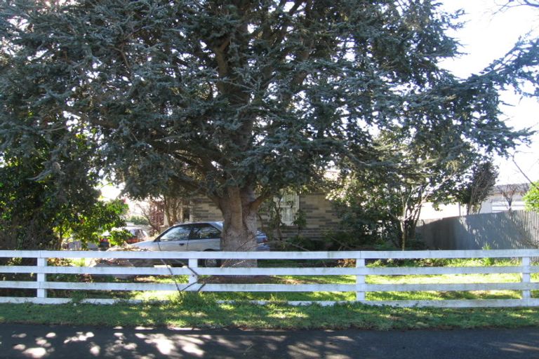 Photo of property in 215 Lumsden Place, Akina, Hastings, 4122
