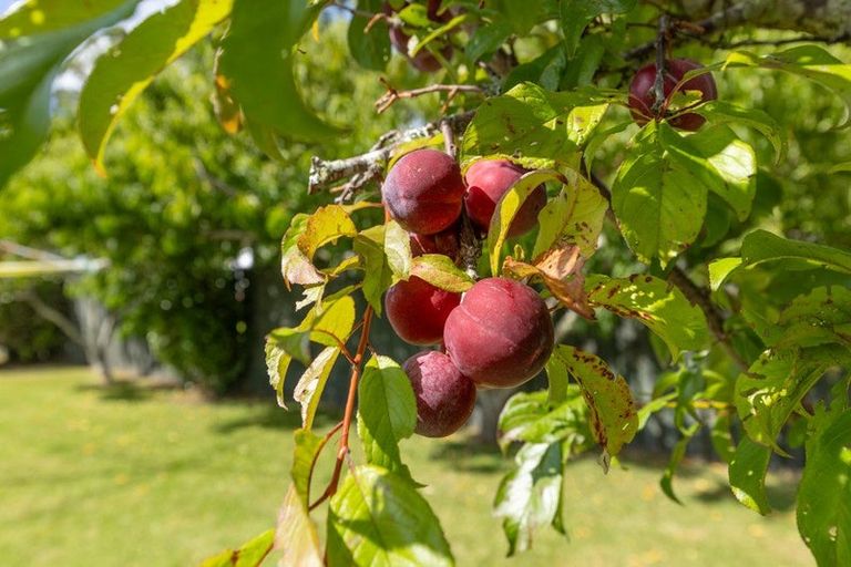 Photo of property in 17 Leather Street, Huntly, 3700