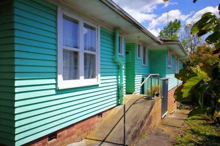 Photo of property in 16 Larnoch Road, Henderson, Auckland, 0610