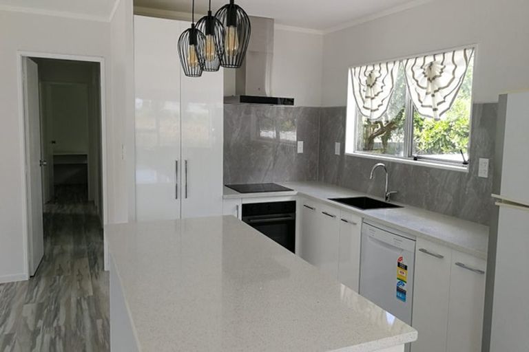 Photo of property in 41 Yeovil Road, Te Atatu Peninsula, Auckland, 0610