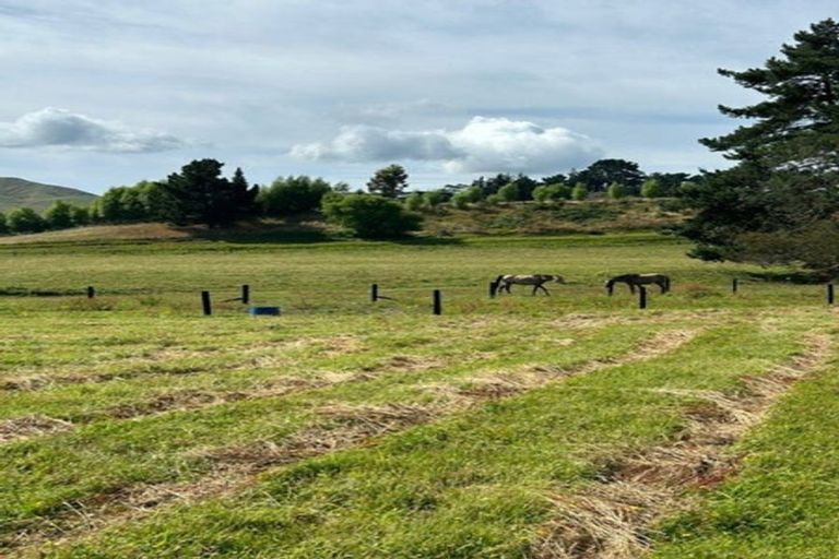Photo of property in 820 Pahiatua Pongaroa Road, Pahiatua, 4982