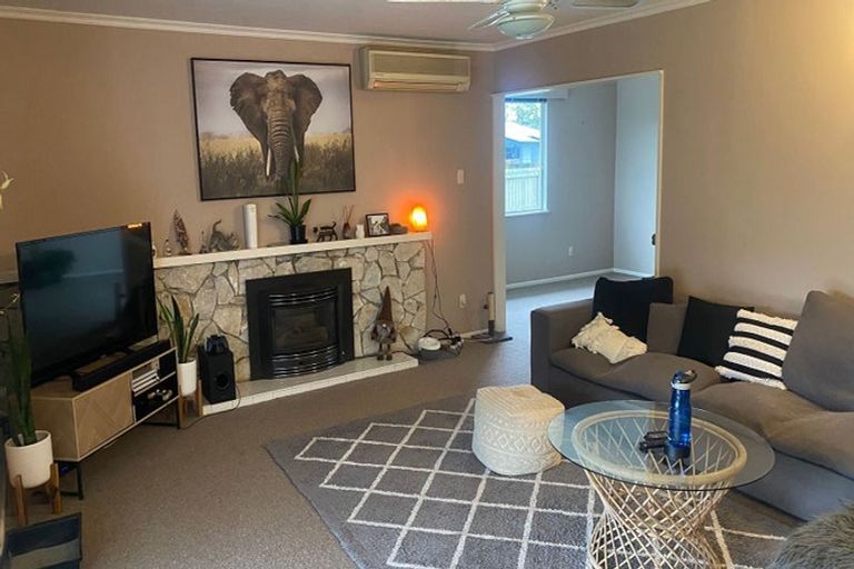 Photo of property in 20 Edwards Place, Terrace End, Palmerston North, 4410