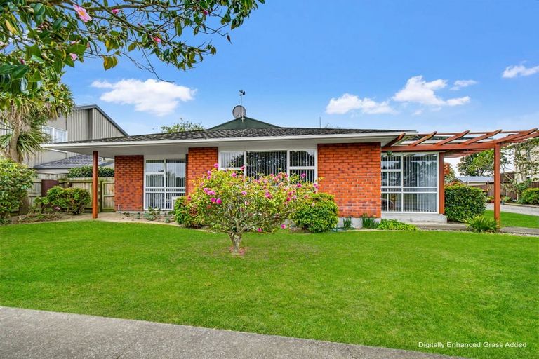 Photo of property in 45 Dittmer Drive, Awapuni, Palmerston North, 4412