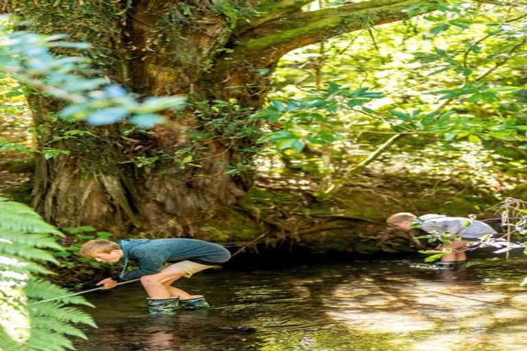 Photo of property in 32 Turtleback Avenue, Whitby, 5024