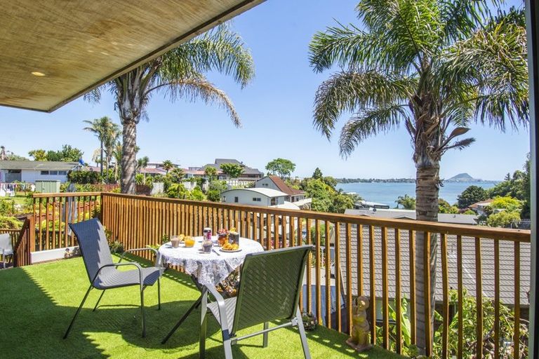 Photo of property in 202 Maungatapu Road, Maungatapu, Tauranga, 3112
