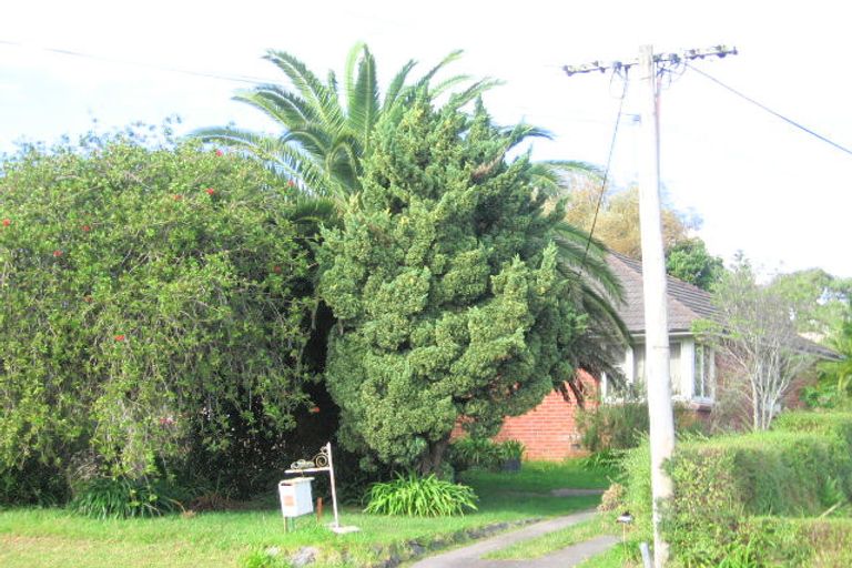 Photo of property in 26 Newington Road, Henderson, Auckland, 0612