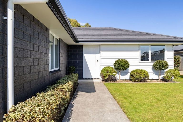 Photo of property in 29 Monarch Drive, Ashhurst, 4810