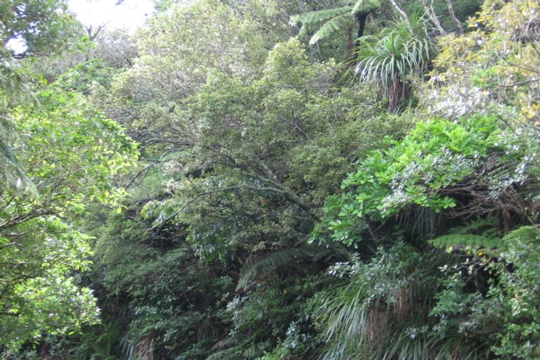 Photo of property in 266 Shaw Road, Titirangi, Auckland, 0604