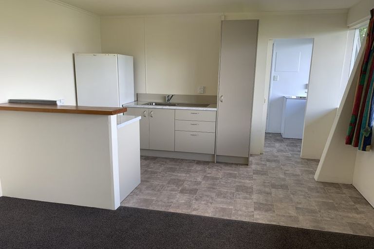 Photo of property in 115 Hornsey Road, Melrose, Wellington, 6023