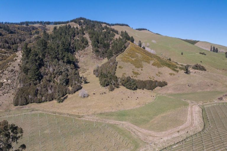 Photo of property in 499 Tadmor Valley Road, Tapawera, Wakefield, 7096