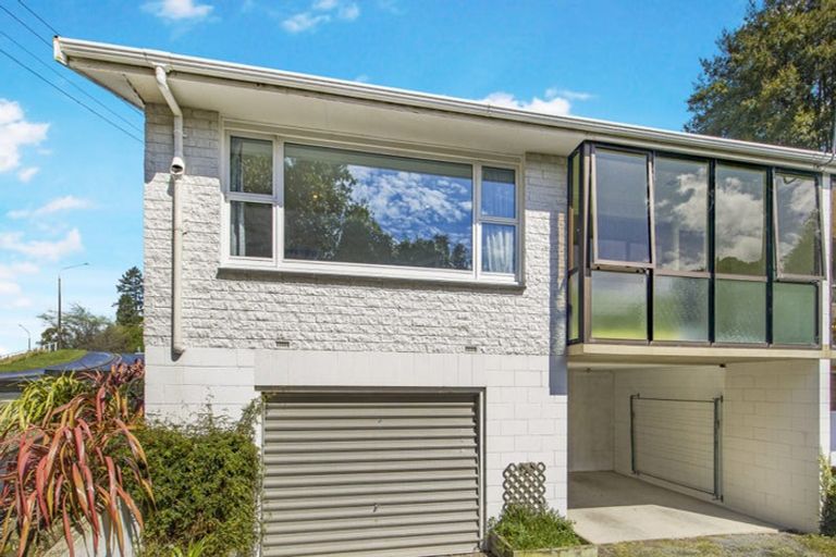 Photo of property in 27a Littlebourne Road, Roslyn, Dunedin, 9010