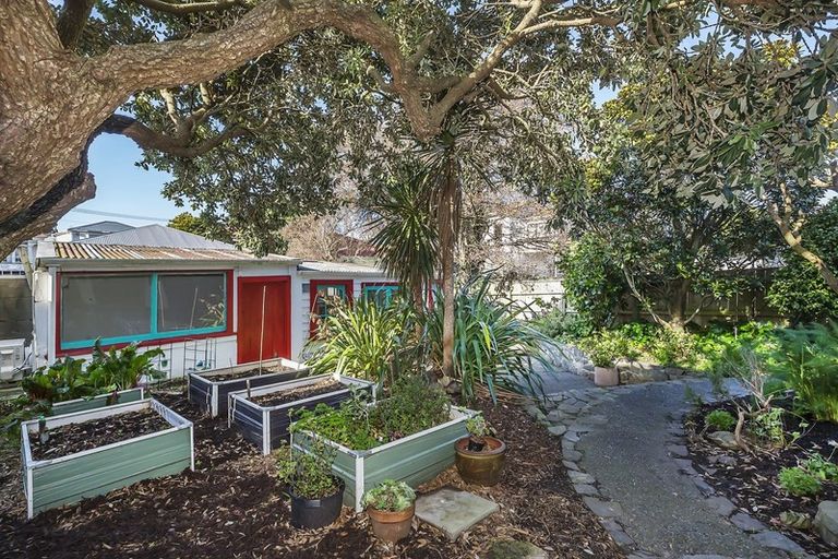 Photo of property in 25 Wright Street, Mount Cook, Wellington, 6021