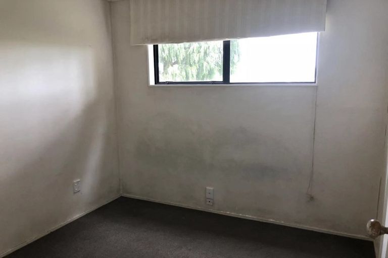 Photo of property in 4b Frances Street, Hamilton East, Hamilton, 3216