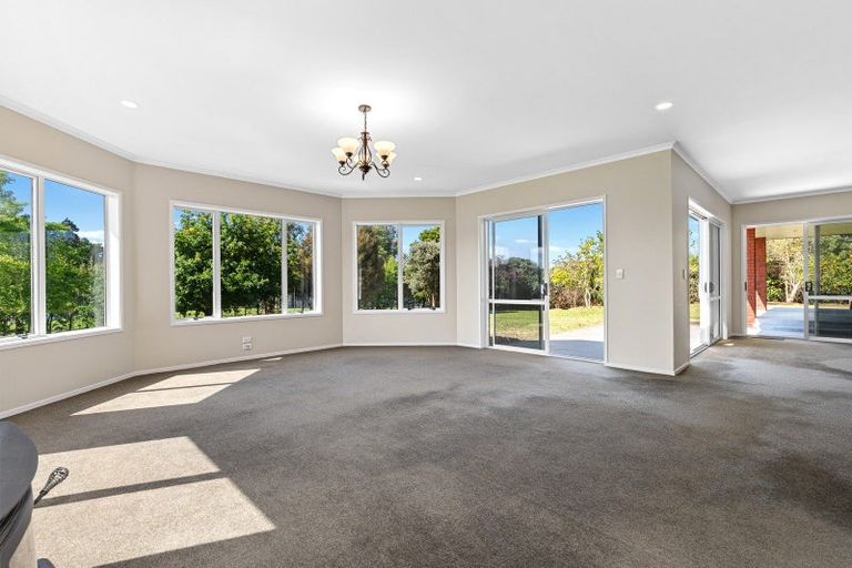 Photo of property in 407 Youngson Road, Whakamarama, Tauranga, 3179