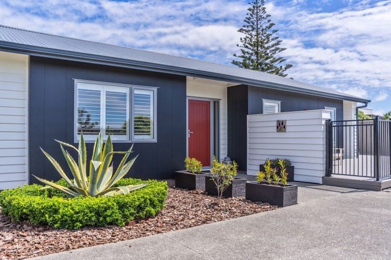 Photo of property in 45 Seagrass Place, Otaki Beach, Otaki, 5512