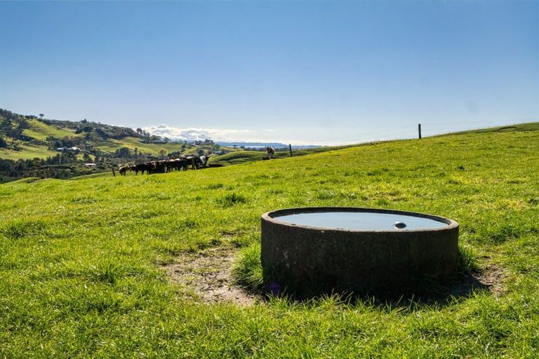 Photo of property in 164c Crawford Road, Wairoa, Tauranga, 3171