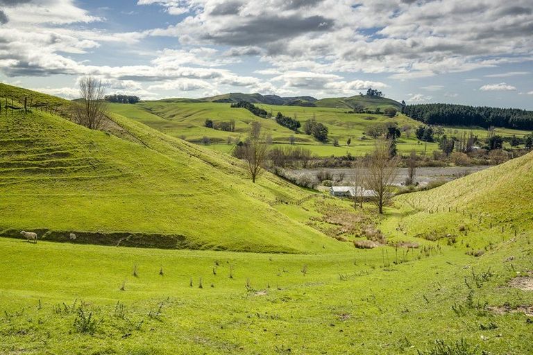 Photo of property in 226 Ongaonga Road, Waipawa, 4272