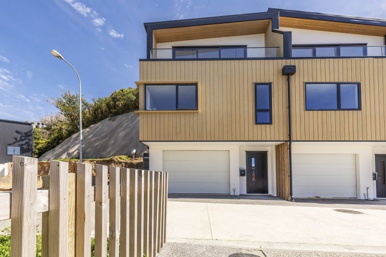 Photo of property in 131 Tiketike Way, Brooklyn, Wellington, 6021