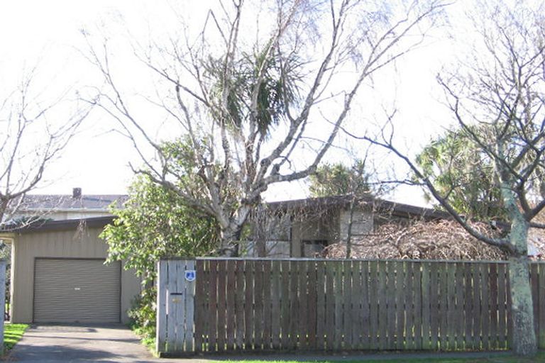 Photo of property in 491 Ruahine Street, Terrace End, Palmerston North, 4410