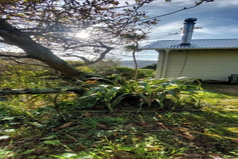 Photo of property in 75 Severn Street, Island Bay, Wellington, 6023