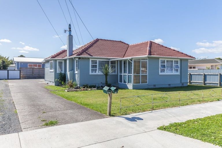 Photo of property in 46 Duke Street, Levin, 5510