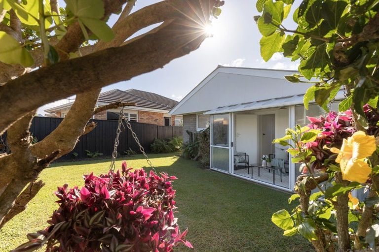 Photo of property in 39 Cherrywood Drive, Otumoetai, Tauranga, 3110