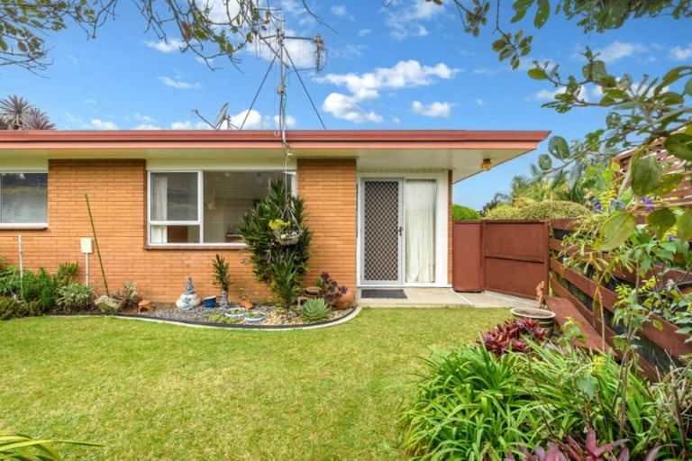 Photo of property in 137 Bellevue Road, Brookfield, Tauranga, 3110