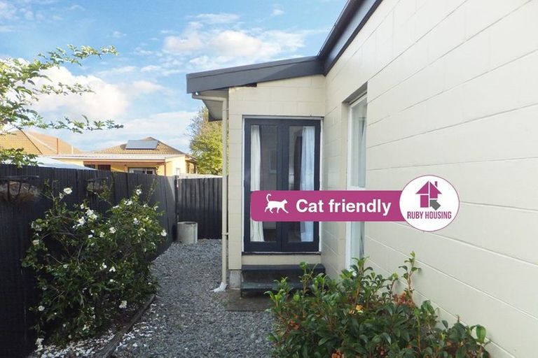 Photo of property in 8/23 Frederick Street, Waltham, Christchurch, 8011