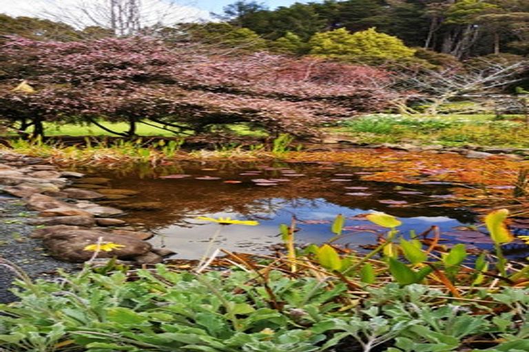 Photo of property in 638 Takahue Road, Takahue, Kaitaia, 0481