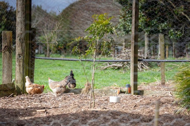 Photo of property in 67d Davison Road, Newstead, Hamilton, 3286