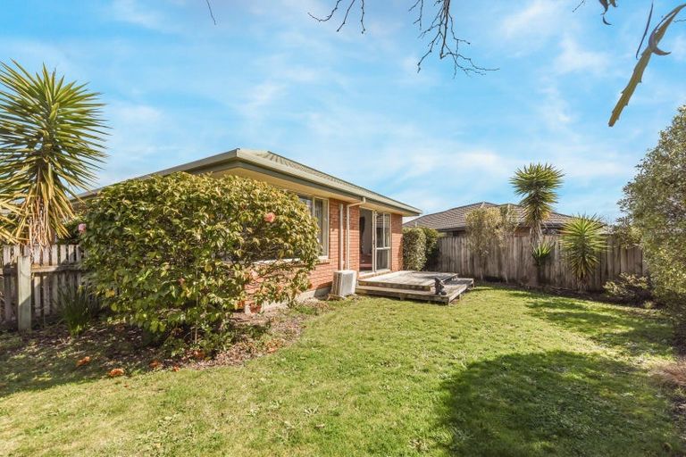 Photo of property in 55 Arbor-lea Avenue, Richmond, 7020