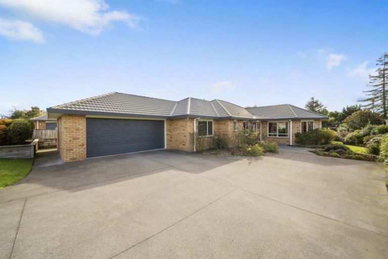 Photo of property in 20 Verona Place, Stratford, 4332