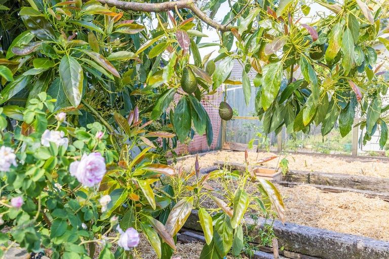 Photo of property in 174 Nixon Street, Hamilton East, Hamilton, 3216