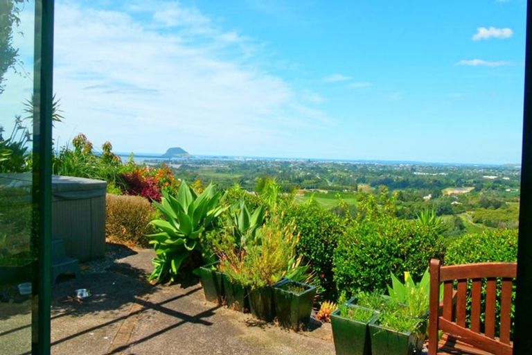 Photo of property in 23 Dawn View Place, Minden, Tauranga, 3176