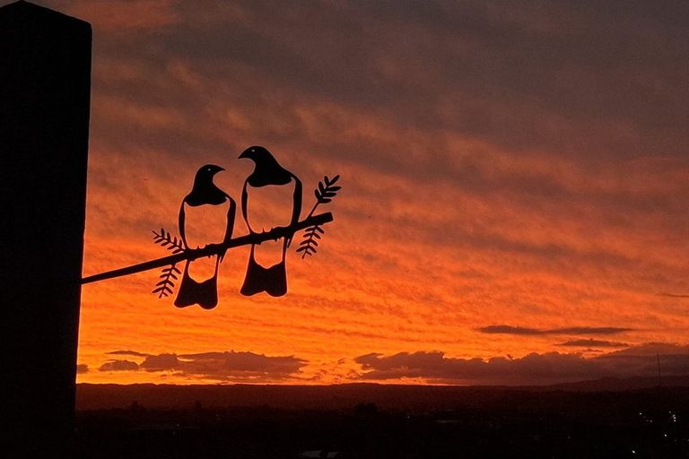 Photo of property in 8 Apex Way, Ohauiti, Tauranga, 3112