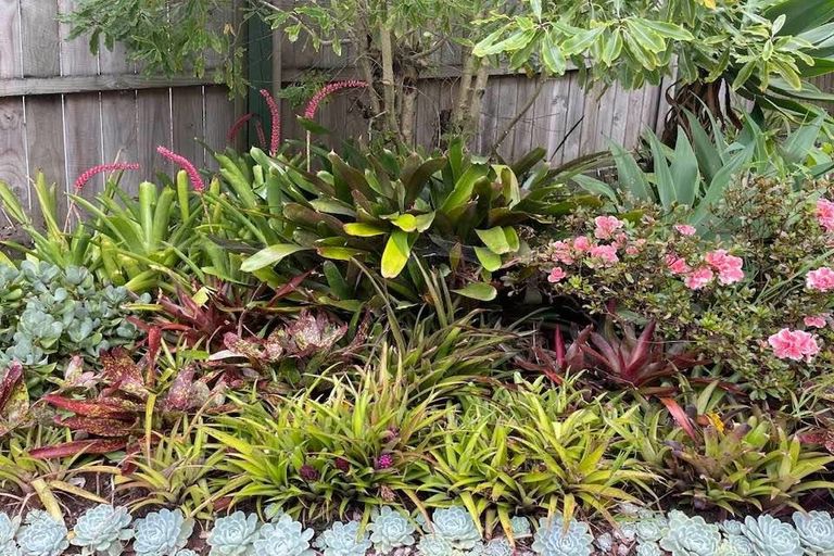 Photo of property in 87 Raumanga Valley Road, Raumanga, Whangarei, 0110