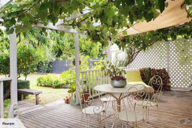 Photo of property in 50 Nixon Street, Hamilton East, Hamilton, 3216