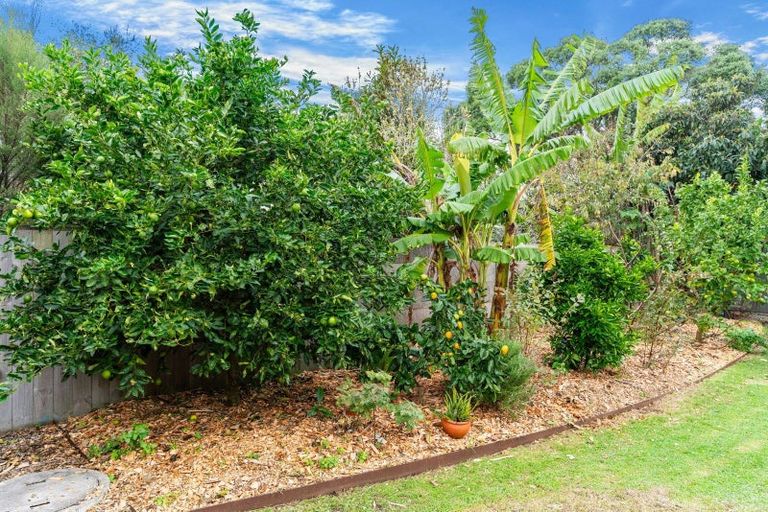 Photo of property in 39 Pearson Street, Mangawhai, 0505