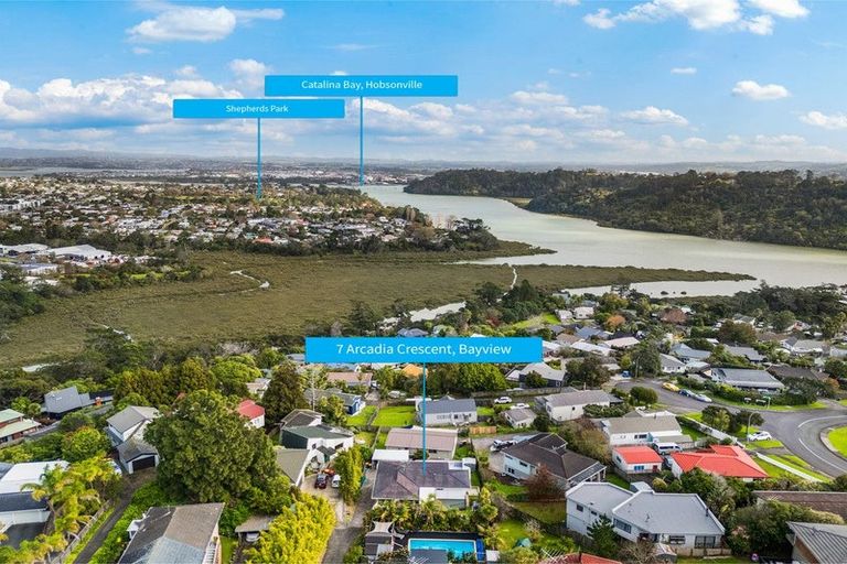 Photo of property in 7 Arcadia Crescent, Bayview, Auckland, 0629